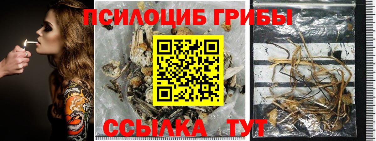 Псилоцибиновые грибы ЛСД Дятьково